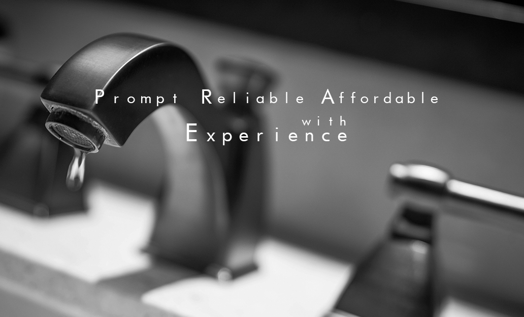 Plumber Guy TOP Image